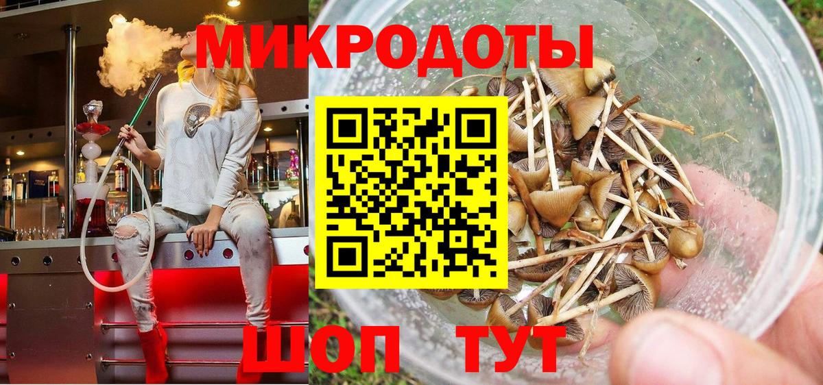 Галлюциногенные грибы Psilocybine cubensis  Вход с VPN  Псилоцибиновые грибы мухоморы  Лысьва 