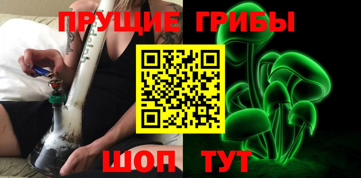 Псилоцибиновые грибы Cubensis Лысьва